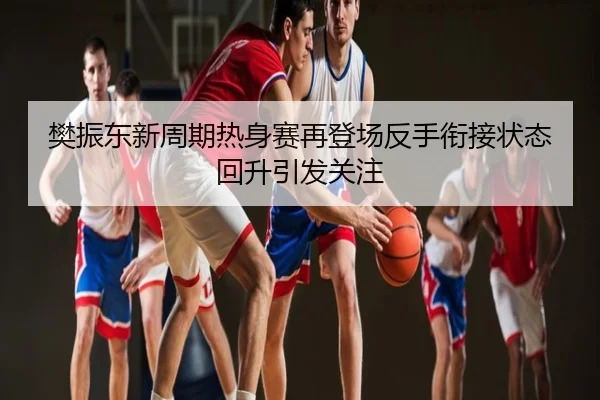 樊振东新周期热身赛再登场反手衔接状态回升引发关注