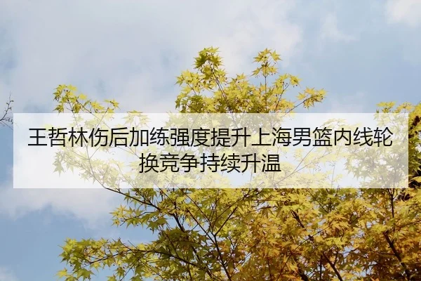 王哲林伤后加练强度提升上海男篮内线轮换竞争持续升温